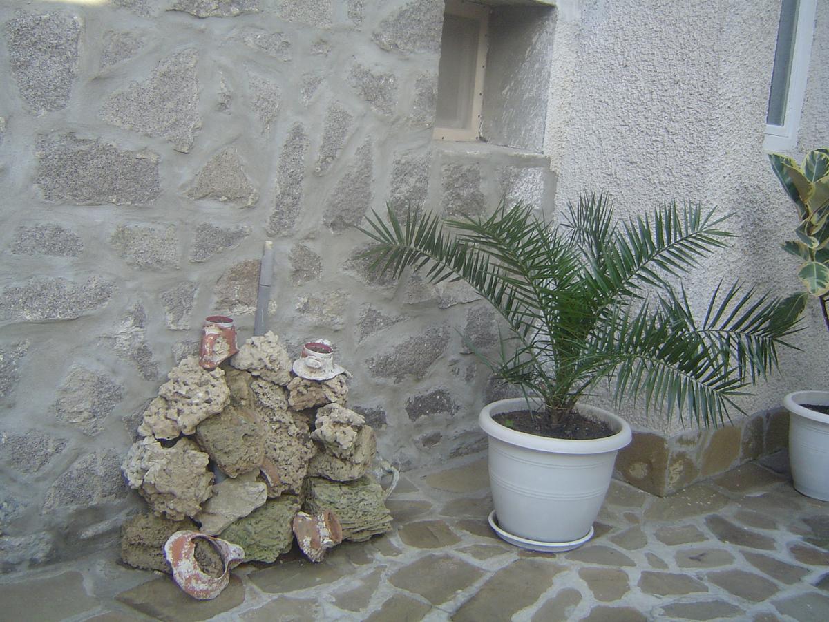 סוזופול Guest House Dimovi מראה חיצוני תמונה